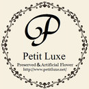 Petit Luxe