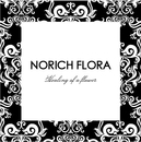 NORICH FLORA